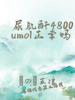 尿肌酐4800umol正常吗