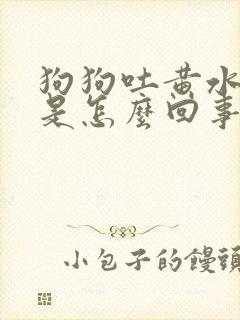 狗狗吐黄水拉血是怎么回事