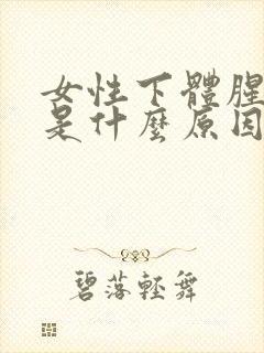 女性下体腥味重是什么原因