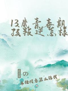 13岁青春期男孩叛逆怎样引导