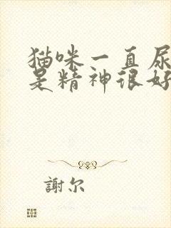 猫咪一直尿血但是精神很好