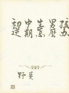 初中生男孩子叛逆期怎么办