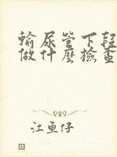 输尿管下段结石做什么检查查得出来