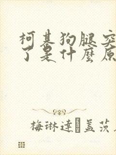 柯基狗腿突然瘸了是什么原因