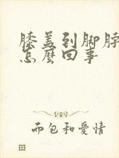 膝盖到脚脖肿疼怎么回事