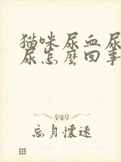 猫咪尿血尿频乱尿怎么回事啊