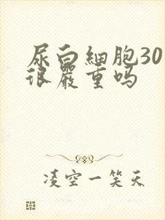 尿白细胞30是很严重吗