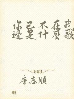 你已不在我的身边是什么歌