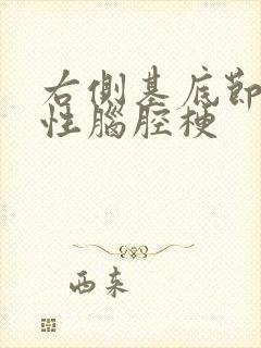 右侧基底节腔隙性脑腔梗