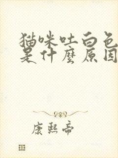 猫咪吐白色液体是什么原因