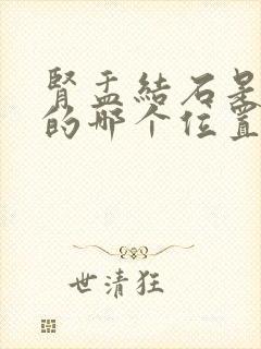 肾盂结石是在肾的哪个位置