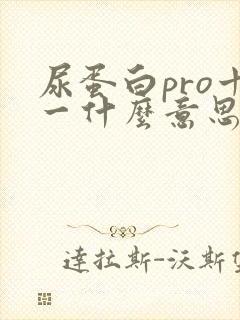 尿蛋白pro十一什么意思