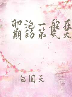 卵泡一般在排卵期的第几天成熟