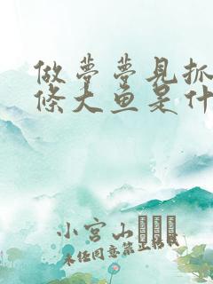 做梦梦见抓到一条大鱼是什么意思