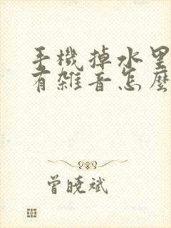 手机掉水里喇叭有杂音怎么办