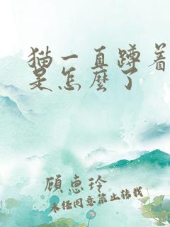 猫一直蹲着不动是怎么了