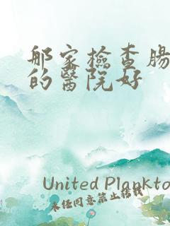 那家检查肠胃病的医院好