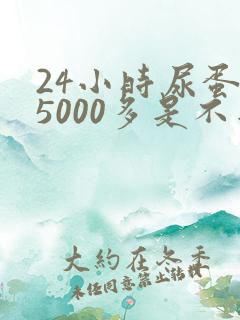 24小时尿蛋白5000多是不是很严重