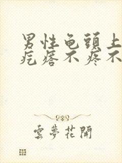 男性龟头上白色疙瘩不疼不痒