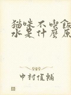 猫咪不吃饭只喝水是什么原因