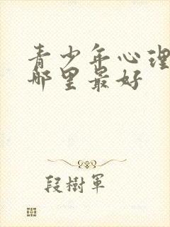 青少年心理辅导哪里最好