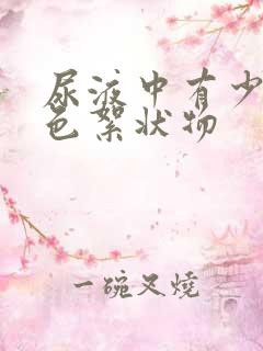 尿液中有少许白色絮状物