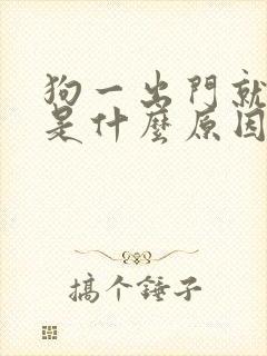 狗一出门就乱叫是什么原因