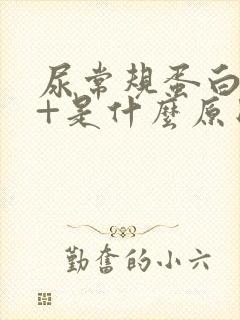 尿常规蛋白质1+是什么原因