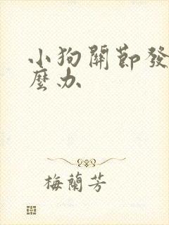 小狗关节发炎怎么办