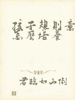 孩子规则意识差怎么培养