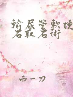 输尿管软硬镜碎石取石术