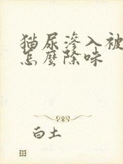 猫尿渗入被子里怎么除味