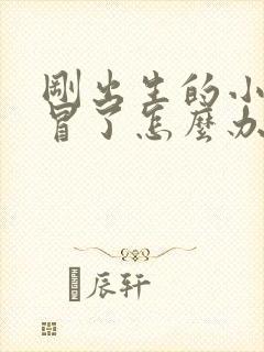 刚出生的小狗感冒了怎么办