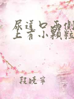 尿道口两侧阴道上有小颗粒