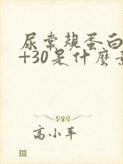 尿常规蛋白质1+30是什么意思