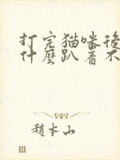 打完猫咪后它为什么趴着不动