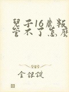 儿子16岁叛逆管不了怎么办