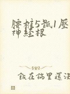 腰椎5骶1压迫神经根