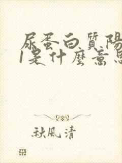 尿蛋白质阳性+1是什么意思