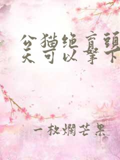 公猫绝育头套几天可以拿下来