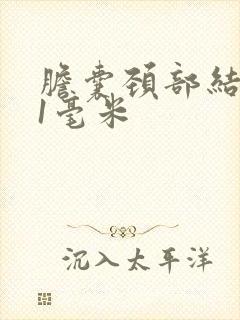 胆囊颈部结石11毫米