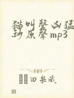 猫叫声凶猛60秒原声mp3