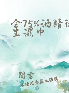含75%酒精卫生湿巾