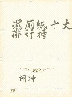 湿厕纸十大品牌排行榜