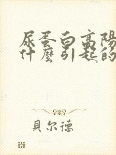 尿蛋白高阳性是什么引起的