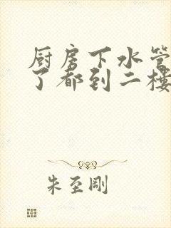 厨房下水管道堵了都到二楼了怎么办