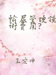 输尿管硬镜取石术费用?