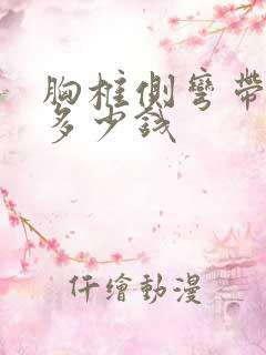 胸椎侧弯带支具多少钱