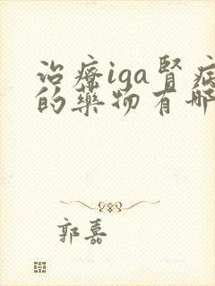 治疗iga肾病的药物有哪些