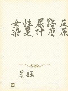 女性尿路反复感染是什么原因